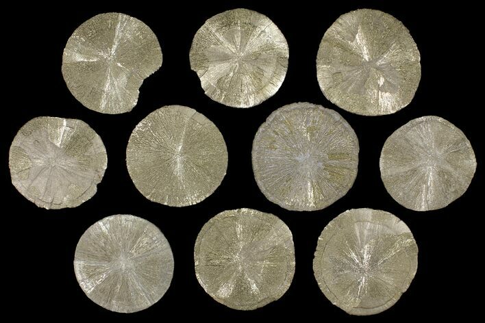 Lot: Pyrite Suns From Illinois - Pieces #91204